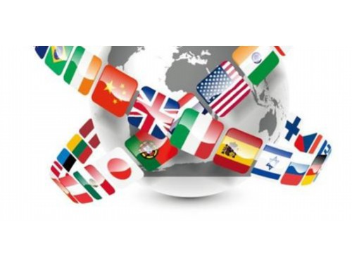 零下二十度也能启程：哈尔滨办理移民中介公司的“冰雪速度”